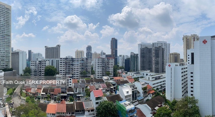 Lucky Plaza (D9), Apartment #579954461